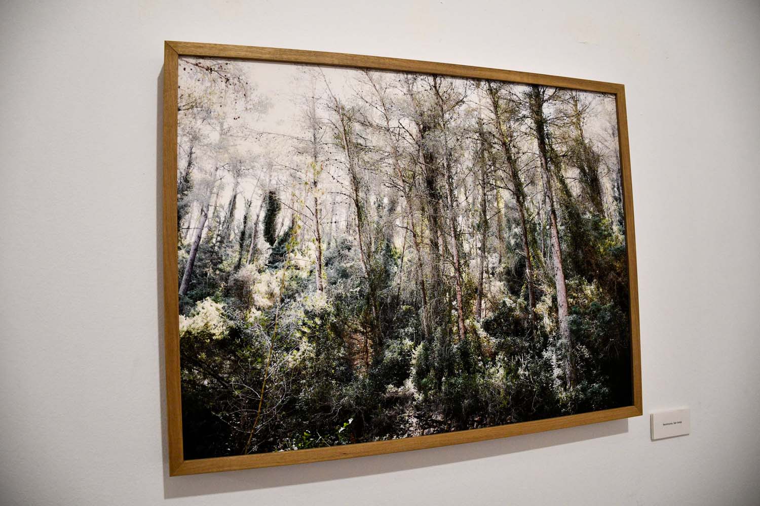 Inauguración de la temporada expositiva en el Campus de Ponferrada Inauguración de la temporada expositiva en el Campus de Ponferrada