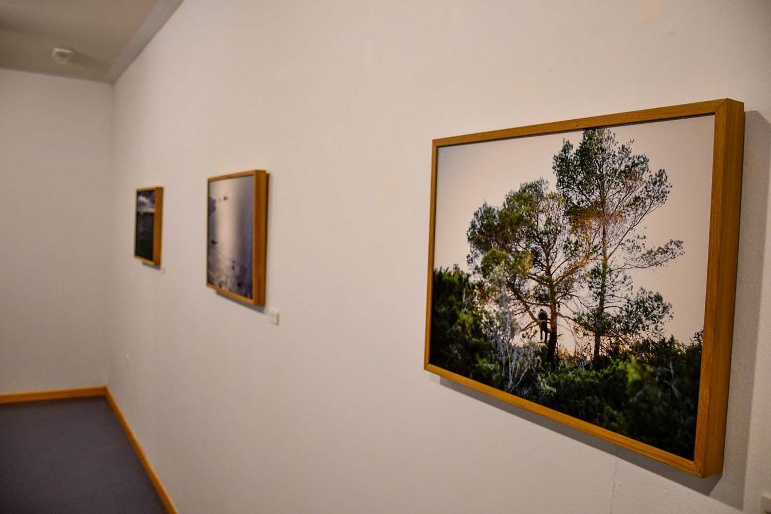 Inauguración de la temporada expositiva en el Campus de Ponferrada Inauguración de la temporada expositiva en el Campus de Ponferrada