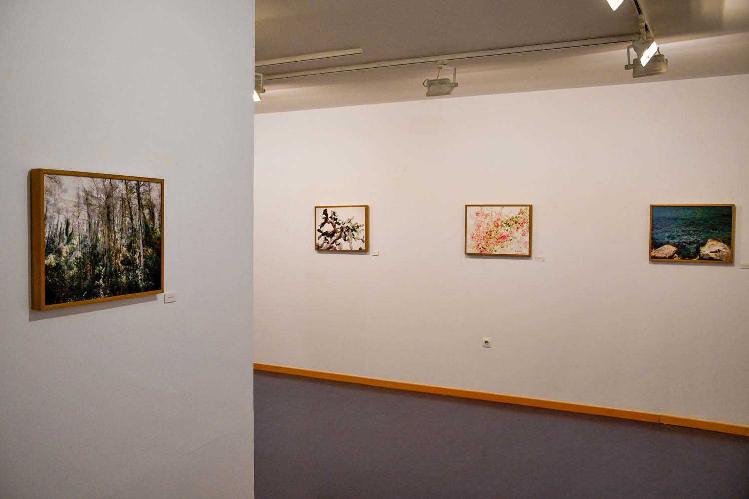 Inauguración de la temporada expositiva en el Campus de Ponferrada Inauguración de la temporada expositiva en el Campus de Ponferrada