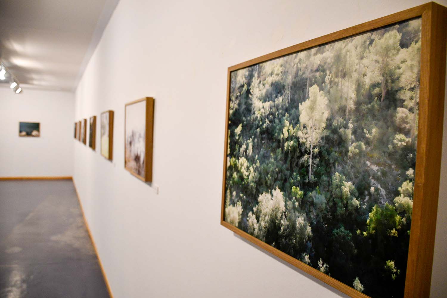 Inauguración de la temporada expositiva en el Campus de Ponferrada Inauguración de la temporada expositiva en el Campus de Ponferrada