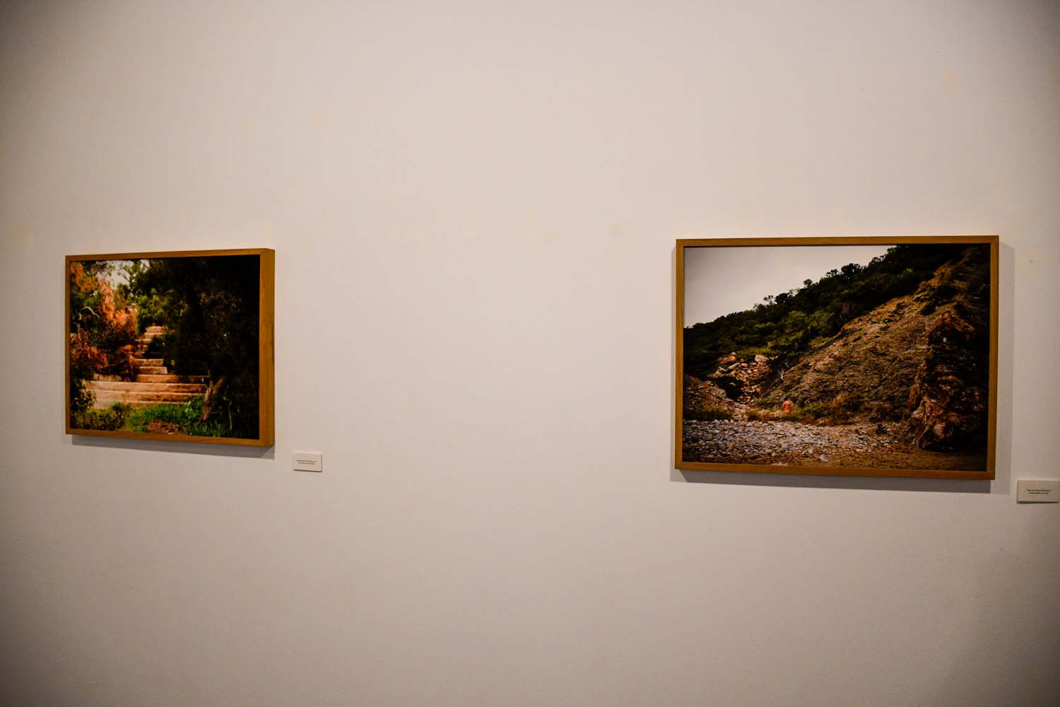 Inauguración de la temporada expositiva en el Campus de Ponferrada Inauguración de la temporada expositiva en el Campus de Ponferrada