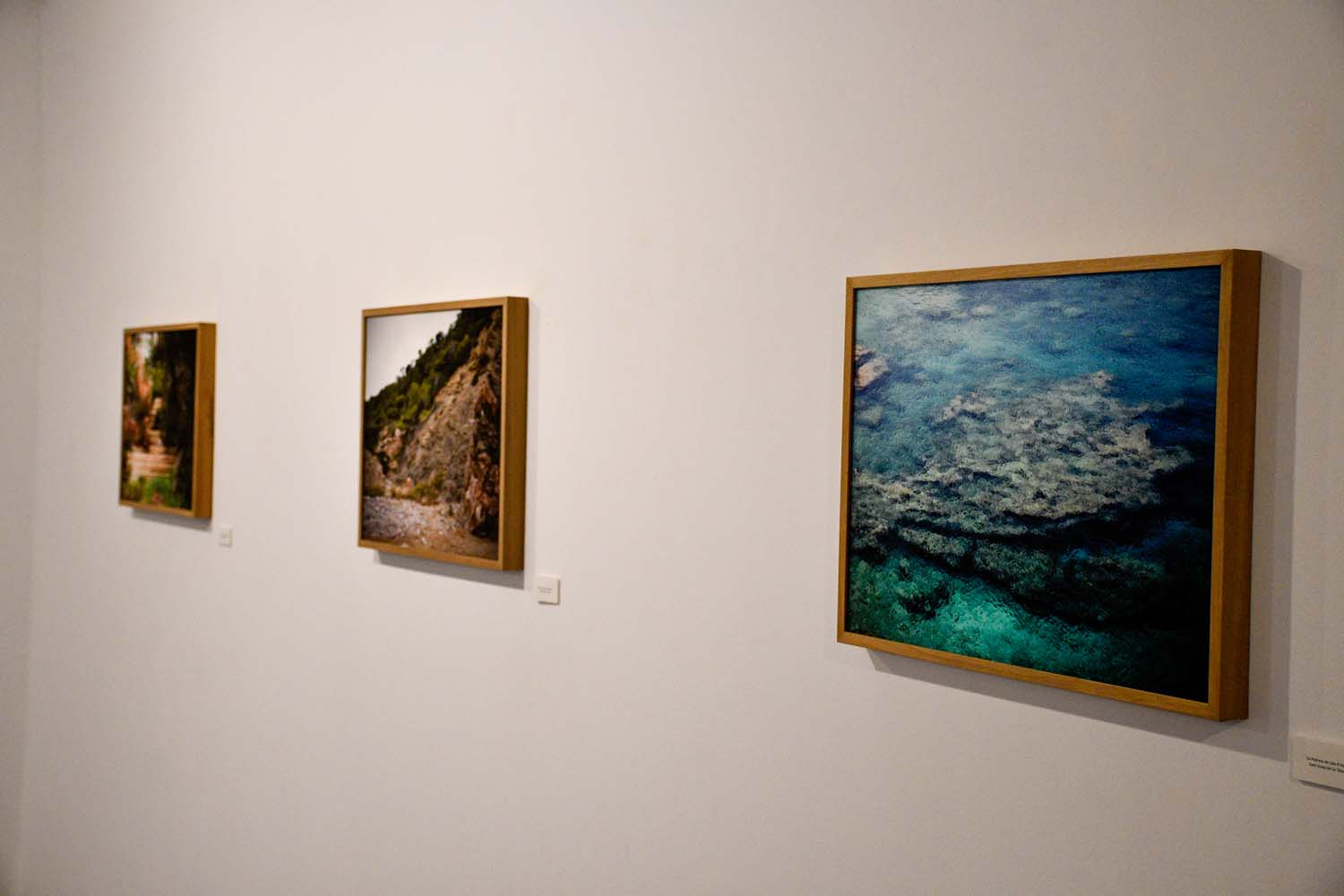 Inauguración de la temporada expositiva en el Campus de Ponferrada Inauguración de la temporada expositiva en el Campus de Ponferrada