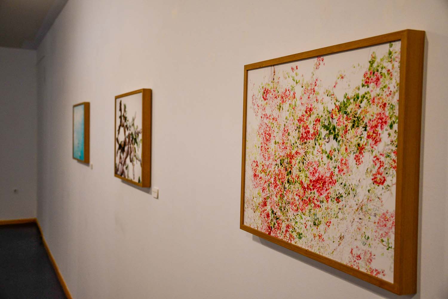 Inauguración de la temporada expositiva en el Campus de Ponferrada Inauguración de la temporada expositiva en el Campus de Ponferrada