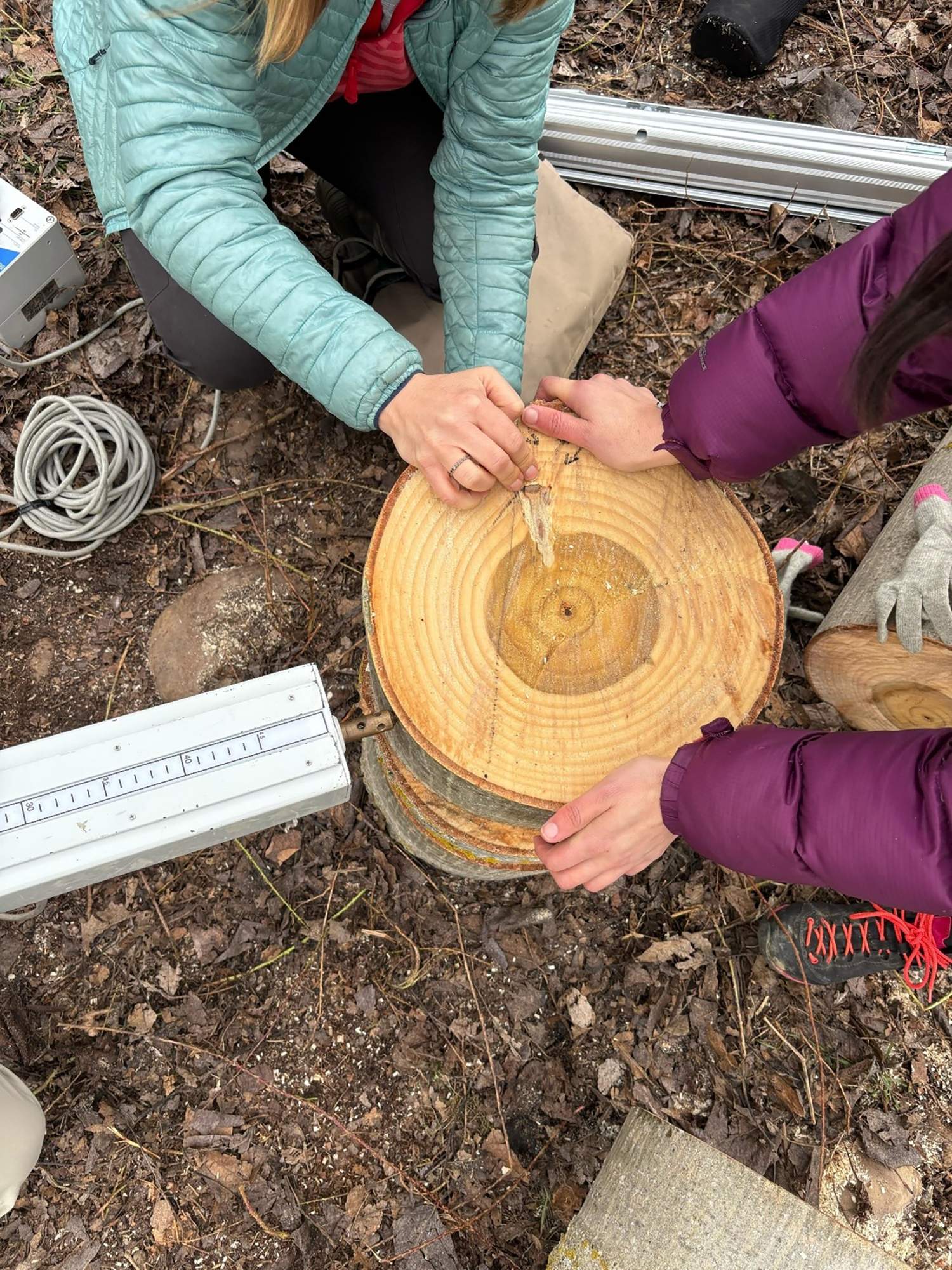 Digitalización choperas 4 Digitalización choperas 4