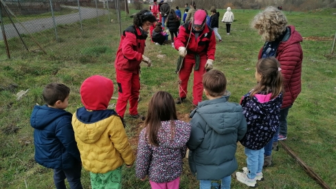 Escolares de Ponferrada plantan cerezos en el Camino de Santiago