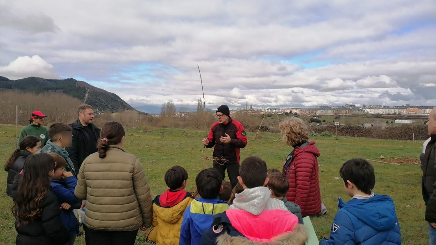 Plantación de cerezos 3