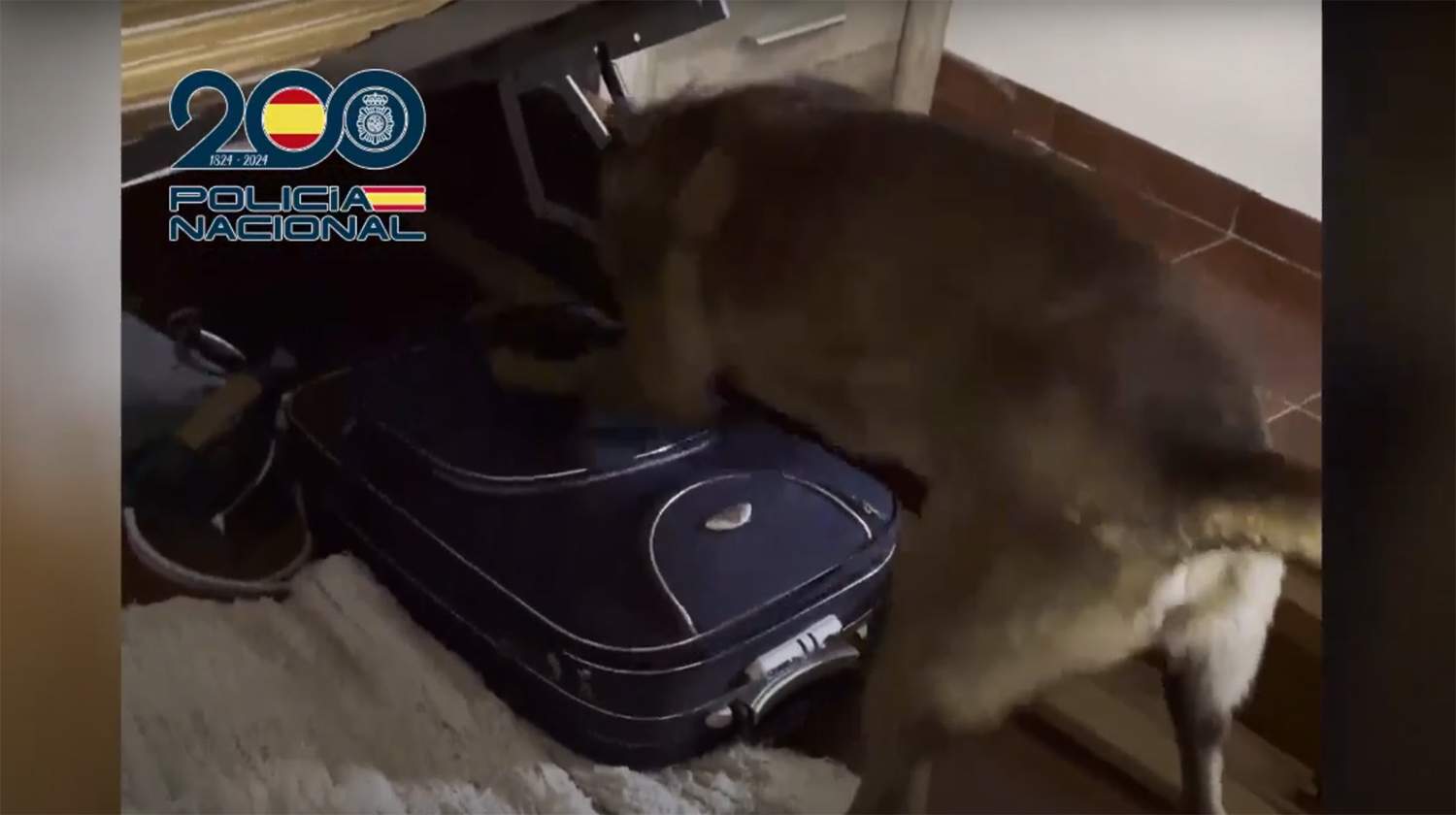 trata de mujeres en leon 2