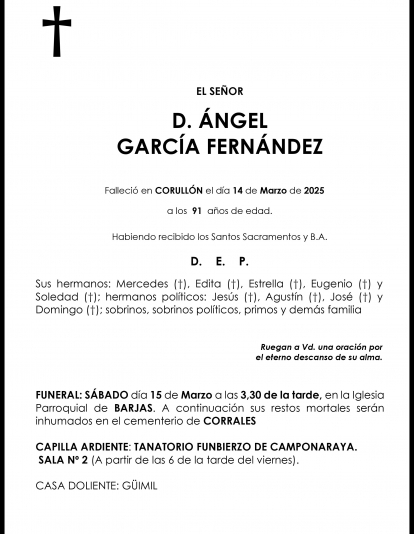 ANGEL GARCIA FERNANEZ