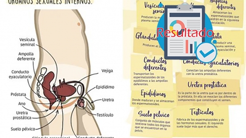 Resultado de la encuesta sobre el libro de lectura que Vox pide retirar del colegio de Fabero.
