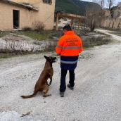 La Unidad Canina de PROTEMER (Lago de Carucedo) estrena nuevo material junto a los seis perros del equipo 