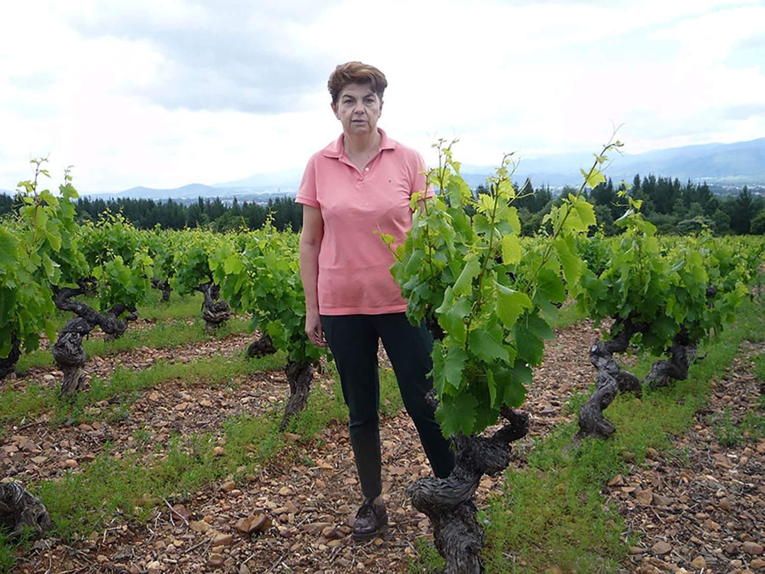 Elva García Amigo Directora y propietaria de Bodega Ani´bal de Otero