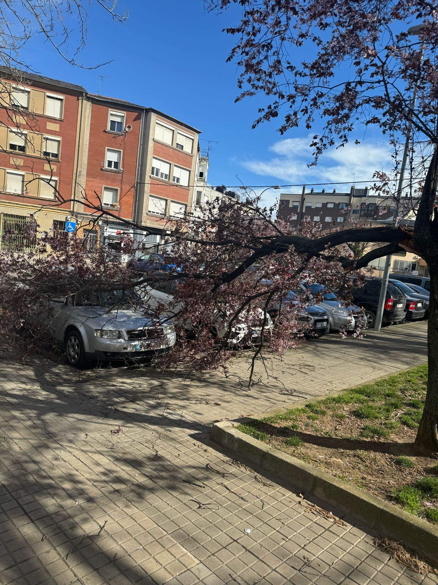 Actuaciones Bomberos de Ponferrada por las fuertes rachas de viento 