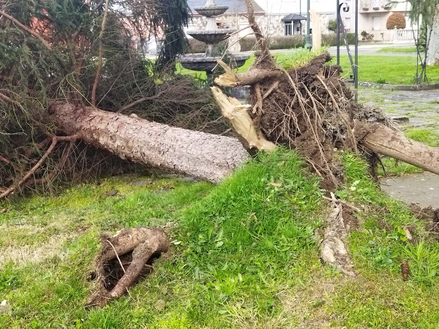 Actuaciones Bomberos de Ponferrada por las fuertes rachas de viento