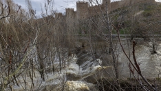 Río Adaja a su paso por la capital abulense | Rmestudios / ICAL