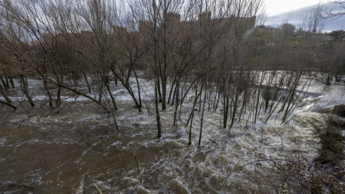 Río Adaja a su paso por la capital abulense | Rmestudios / ICAL
