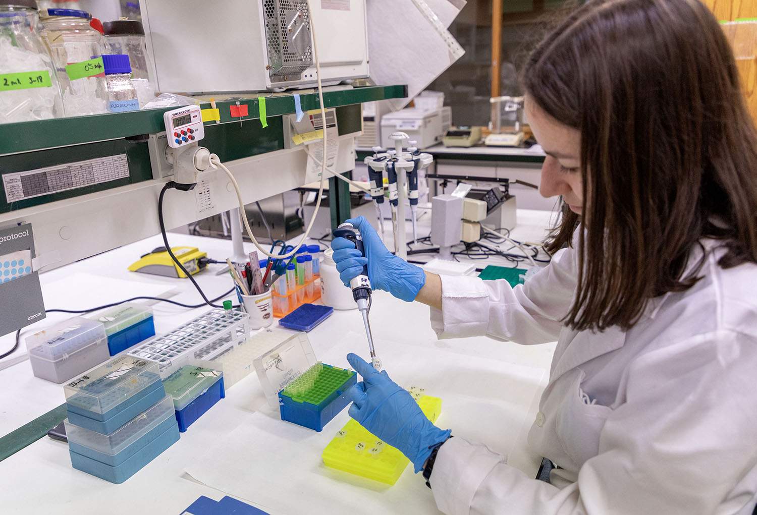 El Centro de Investigación del Cáncer de Salamanca cumple un cuarto de siglo con la mira puesta en un futuro aún más prometedor