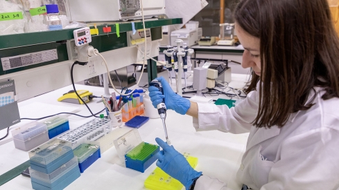 El Centro de Investigación del Cáncer de Salamanca cumple un cuarto de siglo con la mira puesta en un futuro aún más prometedor