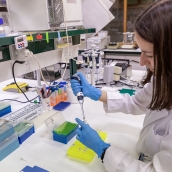 El Centro de Investigación del Cáncer de Salamanca cumple un cuarto de siglo con la mira puesta en un futuro aún más prometedor