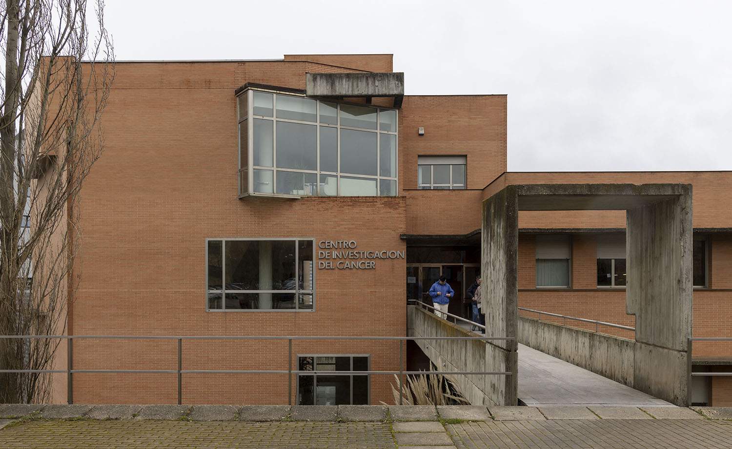 Centro investigación cáncer salamanca 2