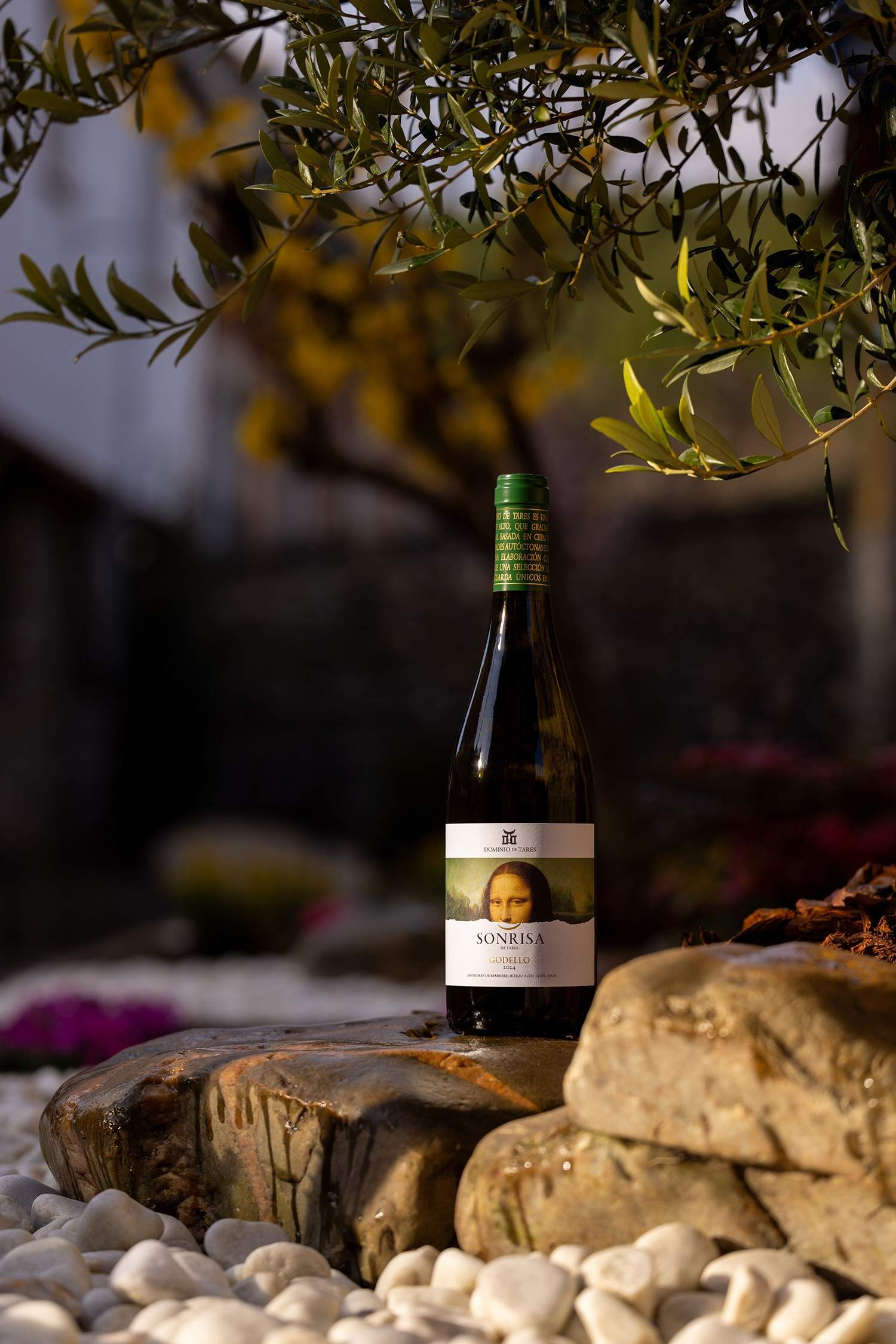 La Sonrisa de Tares. La Sonrisa de Tares.