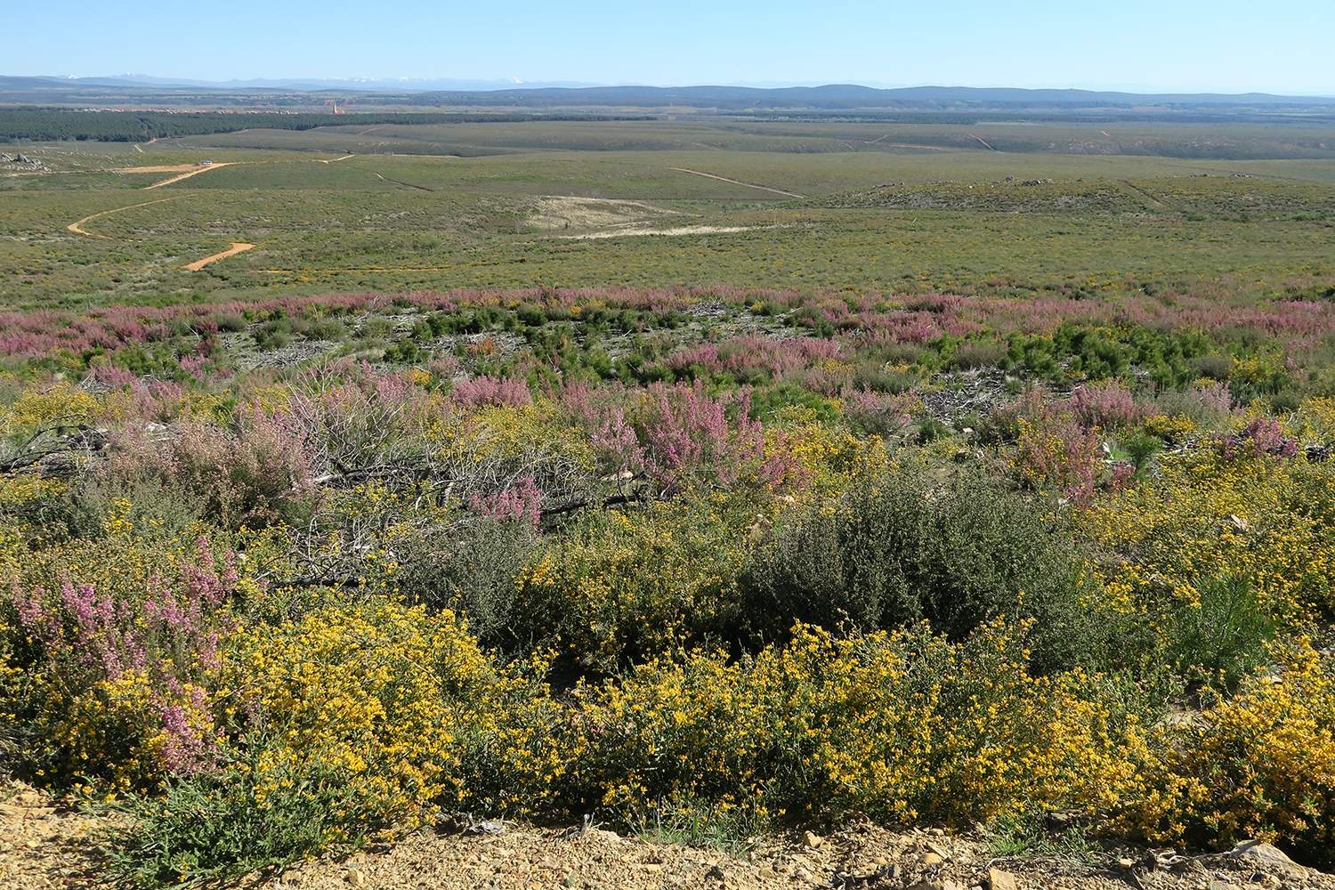 La Cabrera, donde crearán Zonas Estratégicas de Gestión Adaptativa, ZEGIAs. La Cabrera, donde crearán Zonas Estratégicas de Gestión Adaptativa, ZEGIAs.