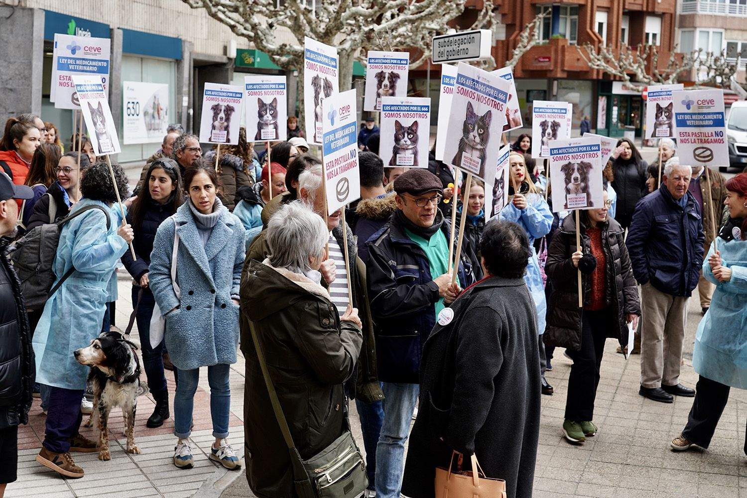 Campillo ICAL. Concentración de los veterinarios de León contra el nuevo decreto que regula la dispensación y uso de medicamentos.
