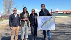 Obras en la Avenida Ciudad Bergida de Ponferrada: Aceras, iluminación y la ampliación del aparcamiento del conservatorio