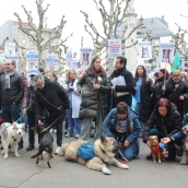 Concentración de los veterinarios de León contra el nuevo decreto que regula la dispensación y uso de medicamentos