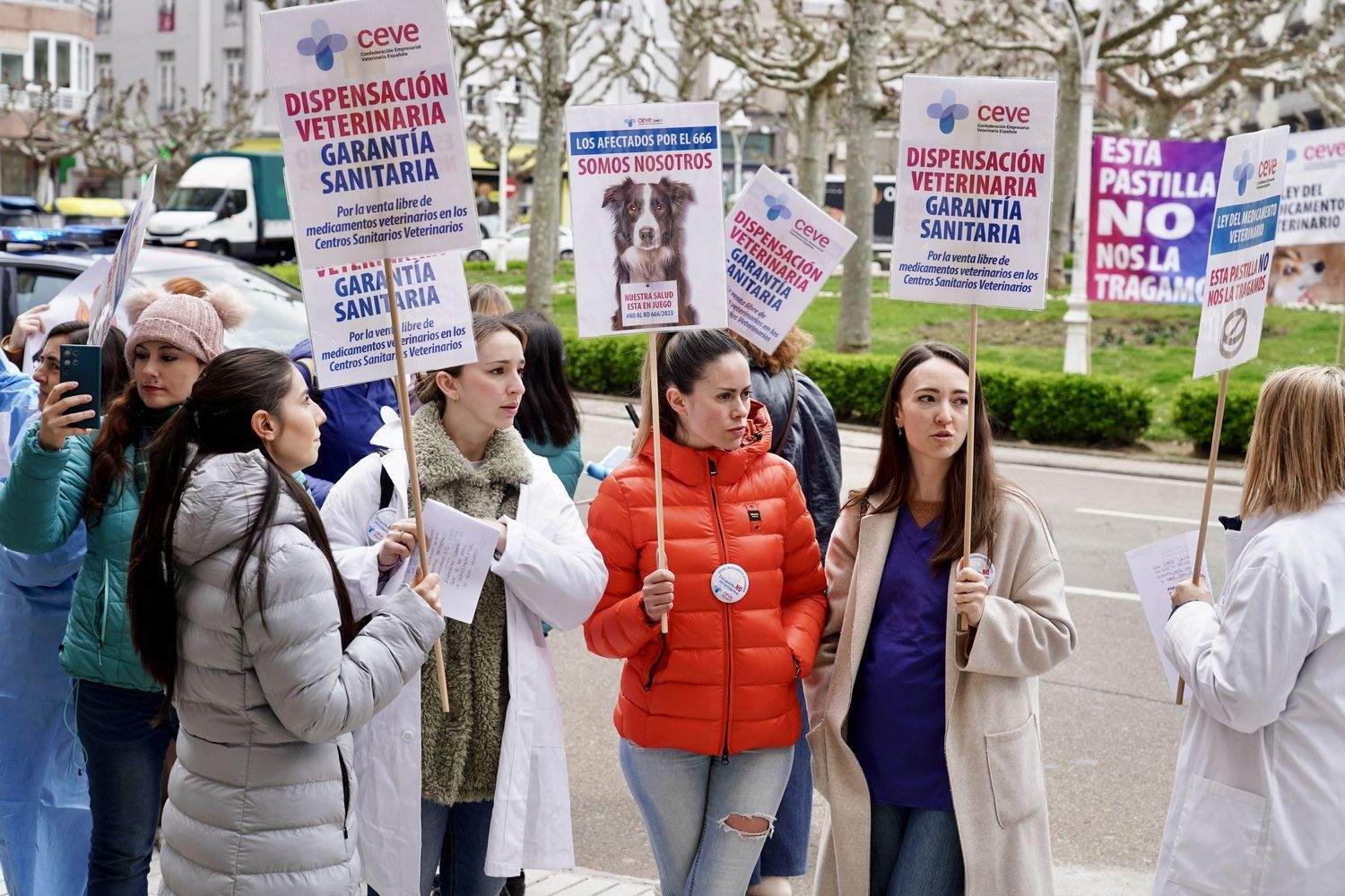 Concentración de los veterinarios de León por el uso de medicamentos | Campillo / ICAL