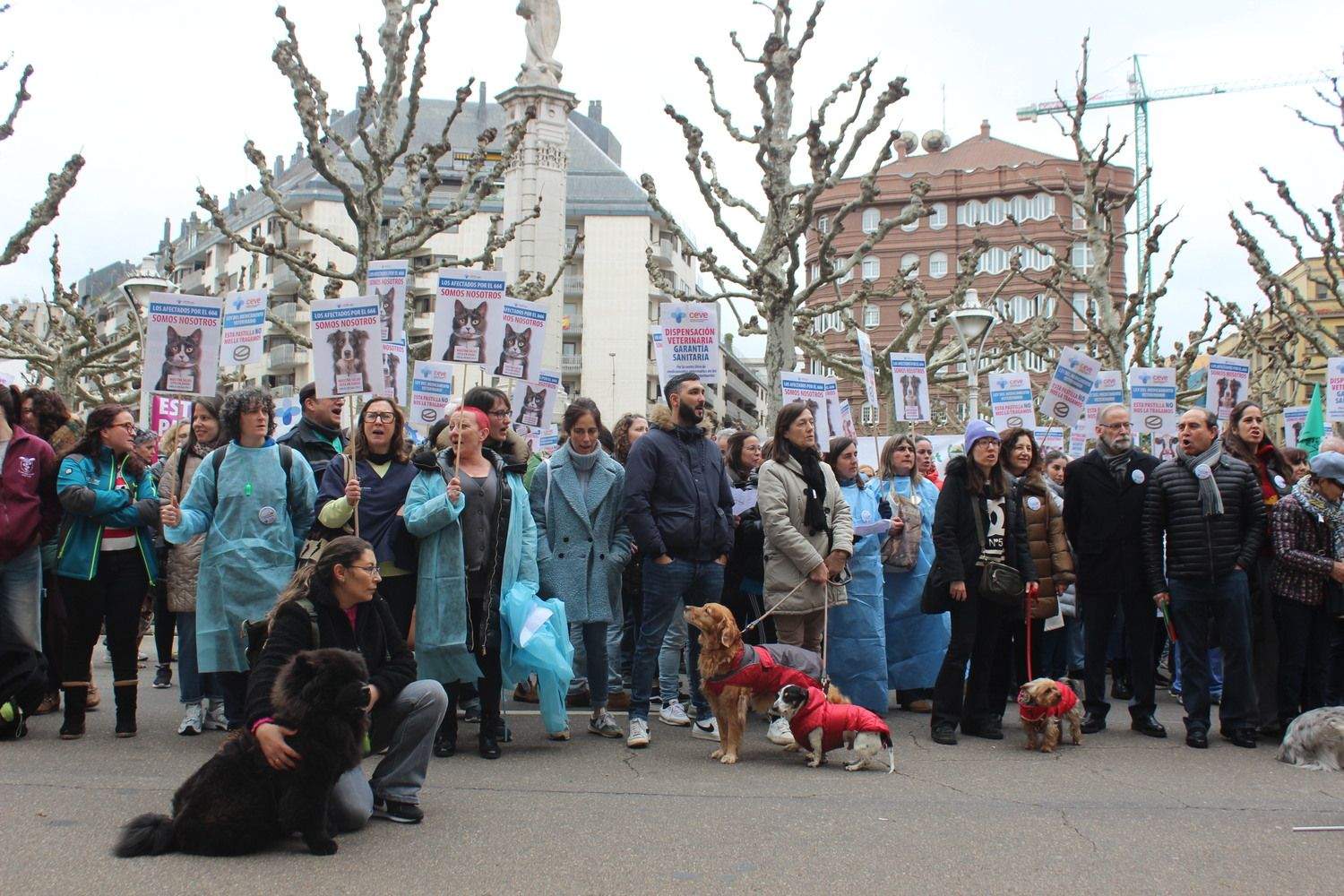 Concentración de los veterinarios de León por el uso de medicamentos | José Martín