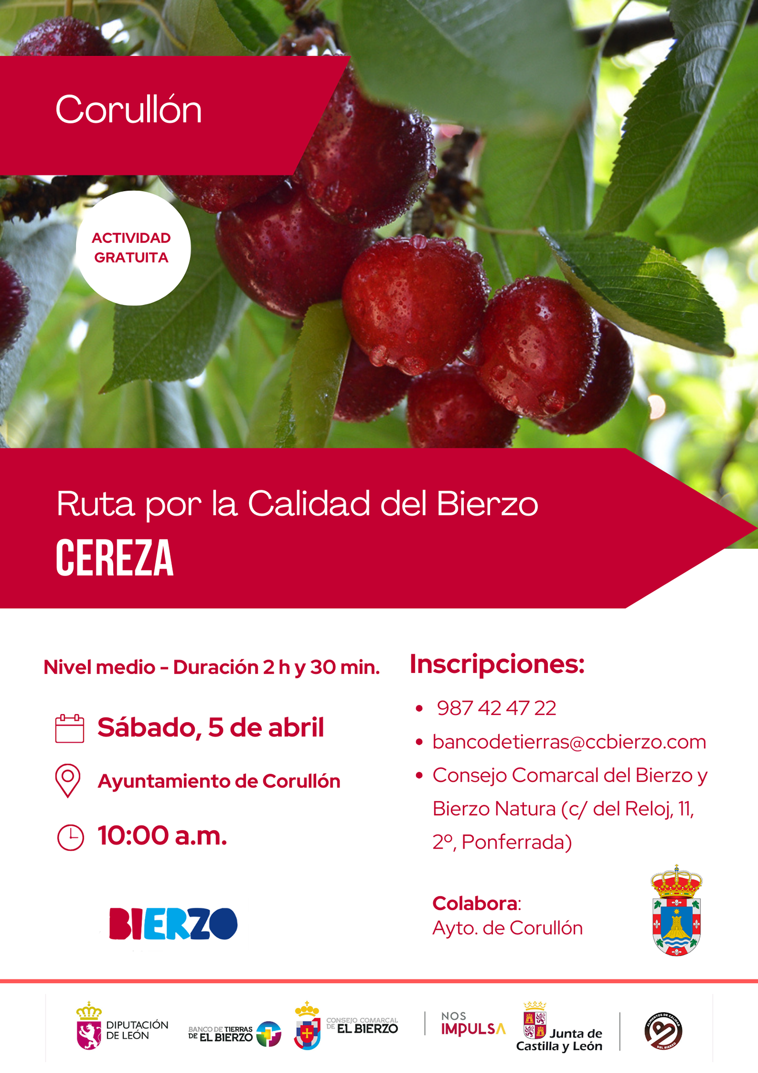 Cartel de la actividad