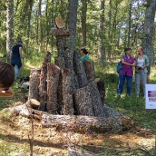 La provincia de León desarrolla tratamientos selvícolas para mejorar la adaptabilidad del Oso Pardo