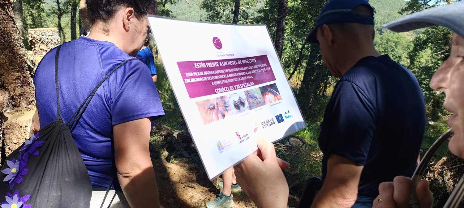 conservacion oso pardo 3