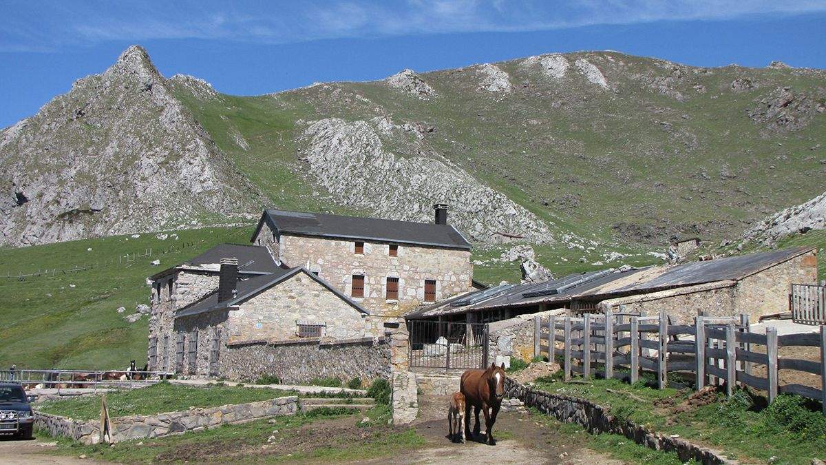 Un Juzgado asturiano deniega la ejecución provisional de la sentencia que prohíbe a Mieres emplear su actividad ganadera en Babia (León)