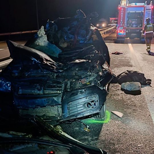 Muere un hombre después de chocar contra un caballo en la AP-66 a la altura de Valverde de la Virgen (León) | Bomberos de León