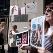 El Partido Animalista Pacma convoca una manifestación para protestar por la salida del lobo ibérico del Listado de Especies Silvestres en Régimen de Protección Especial (Lespre) | Miriam Chacón / ICAL 