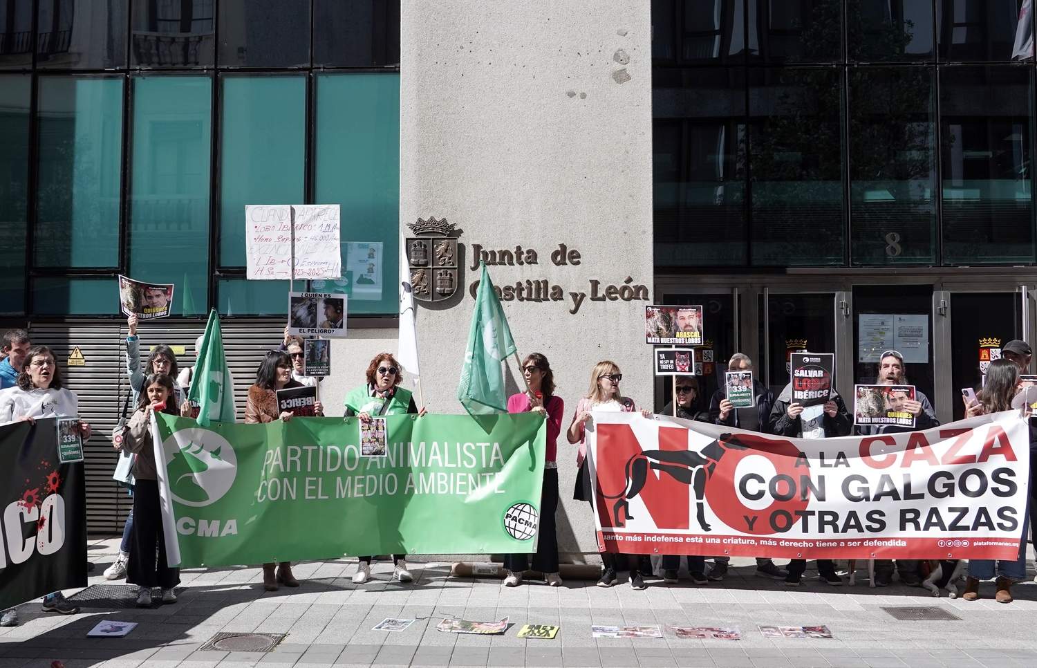 El Partido Animalista Pacma convoca una manifestación para protestar por la salida del lobo ibérico del Listado de Especies Silvestres en Régimen de Protección Especial (Lespre) | Miriam Chacón / ICAL 