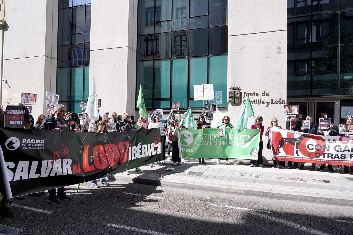 El Partido Animalista Pacma convoca una manifestación para protestar por la salida del lobo ibérico del Listado de Especies Silvestres en Régimen de Protección Especial (Lespre) | Miriam Chacón / ICAL 