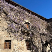 Glicinia de la Casa de los Escudos de Ponferrada