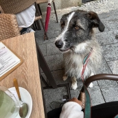 Matcha en un restaurante