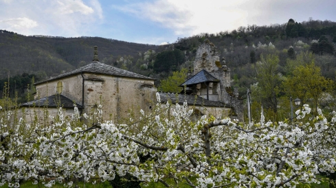 Cerezos en flor en Rimor (53)