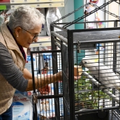 La cacatúa intergeneracional que es emblema vecinal del centro de Ponferrada