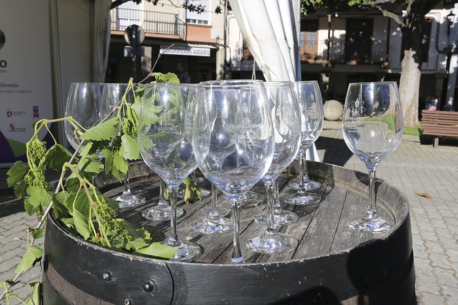 La Feria del Vino de Cacabelos regresó para 'brindar' con DO Bierzo sus ...