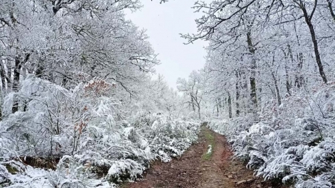 La nieve se deja ver en su 'paso' por la Semana Santa del Bierzo y Laciana 