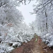 La nieve se deja ver en su 'paso' por la Semana Santa del Bierzo y Laciana 