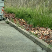 Abierto un expediente contra dos nuevos vertidos de residuos ilegales en Ponferrada