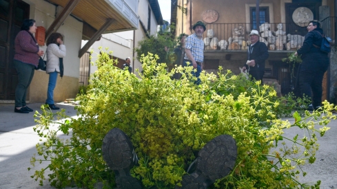 Los Maios de Villafranca 2025 (26)