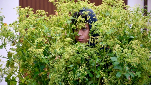 Los Maios de Villafranca 2025 (30)