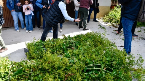 Los Maios de Villafranca 2025 (37)