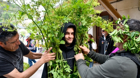 Los Maios de Villafranca 2025 (40)